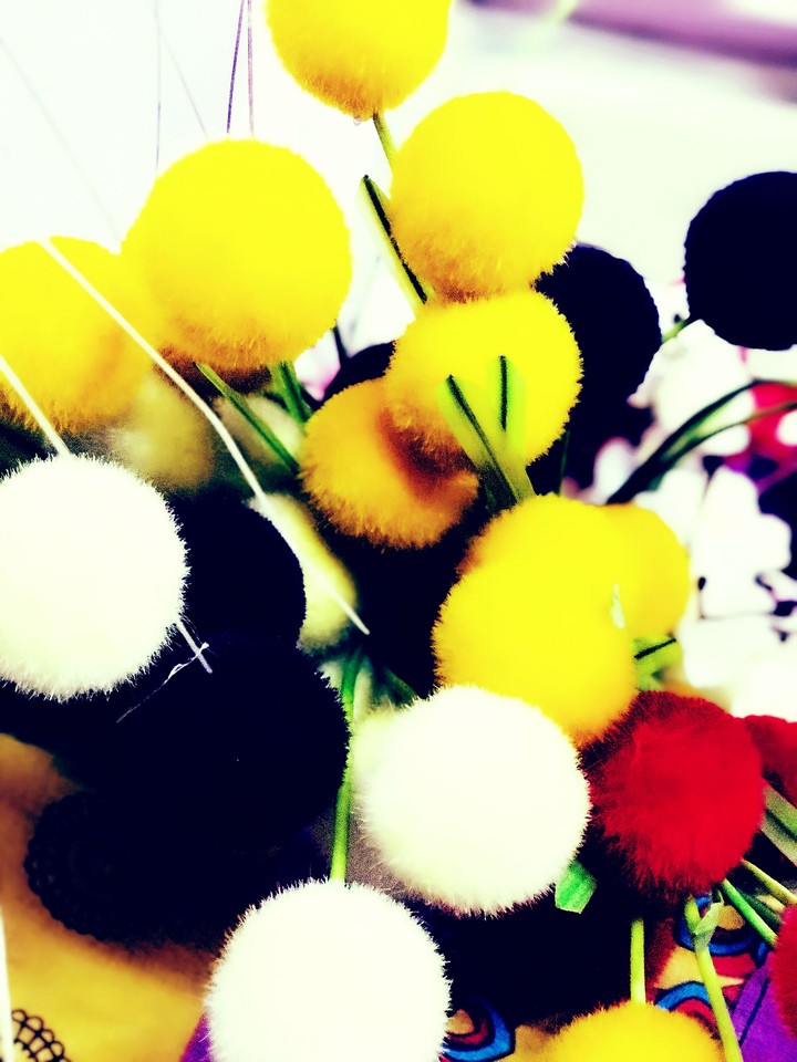 flowers random popular