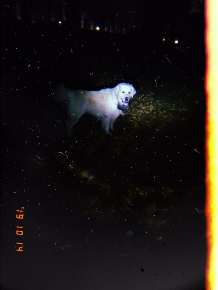 ?