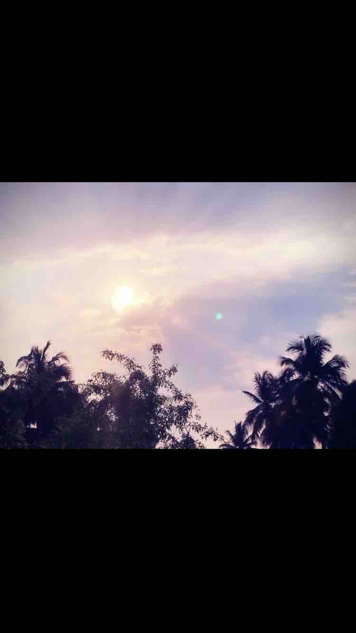 evening spotlight