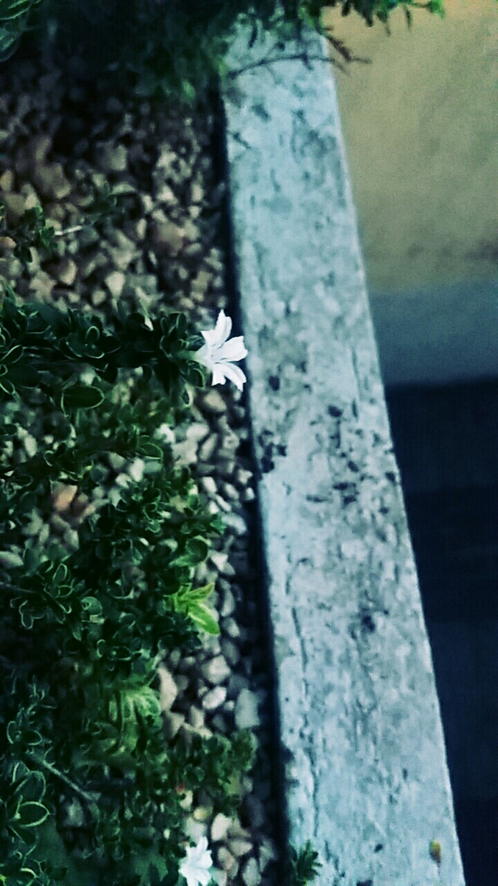 Nature!