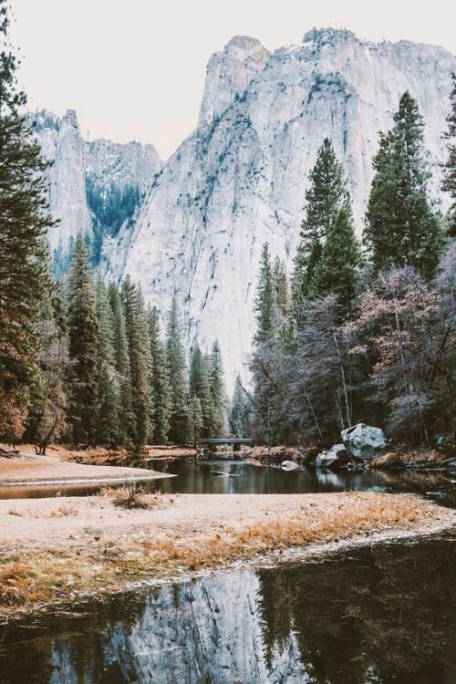 Nature