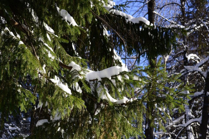 winter