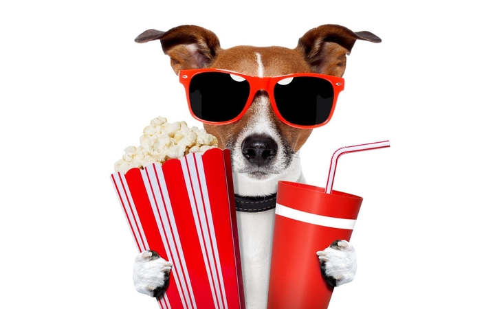 movie