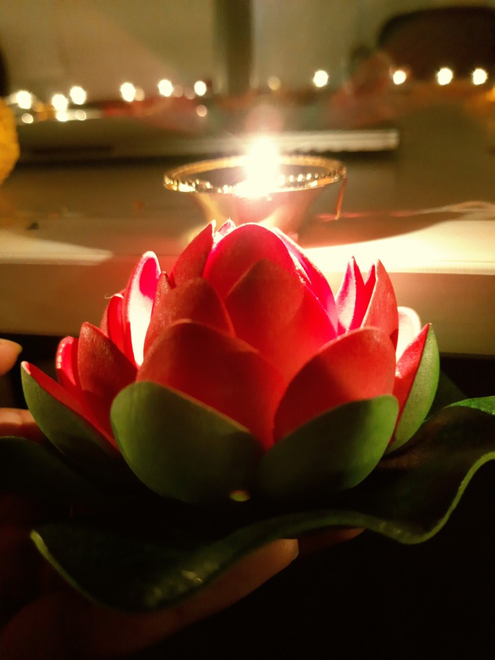 Diwali special flower