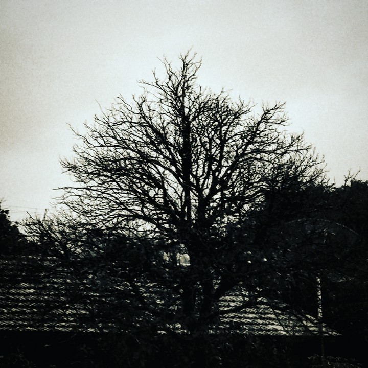 inverno