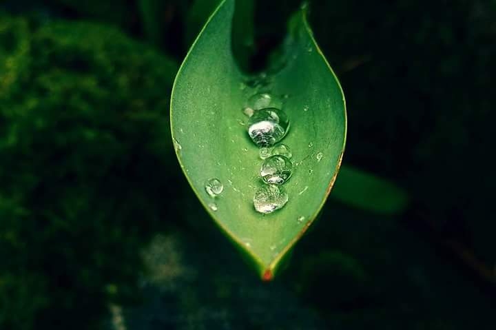 Flowing drops of the rain through the freedom...