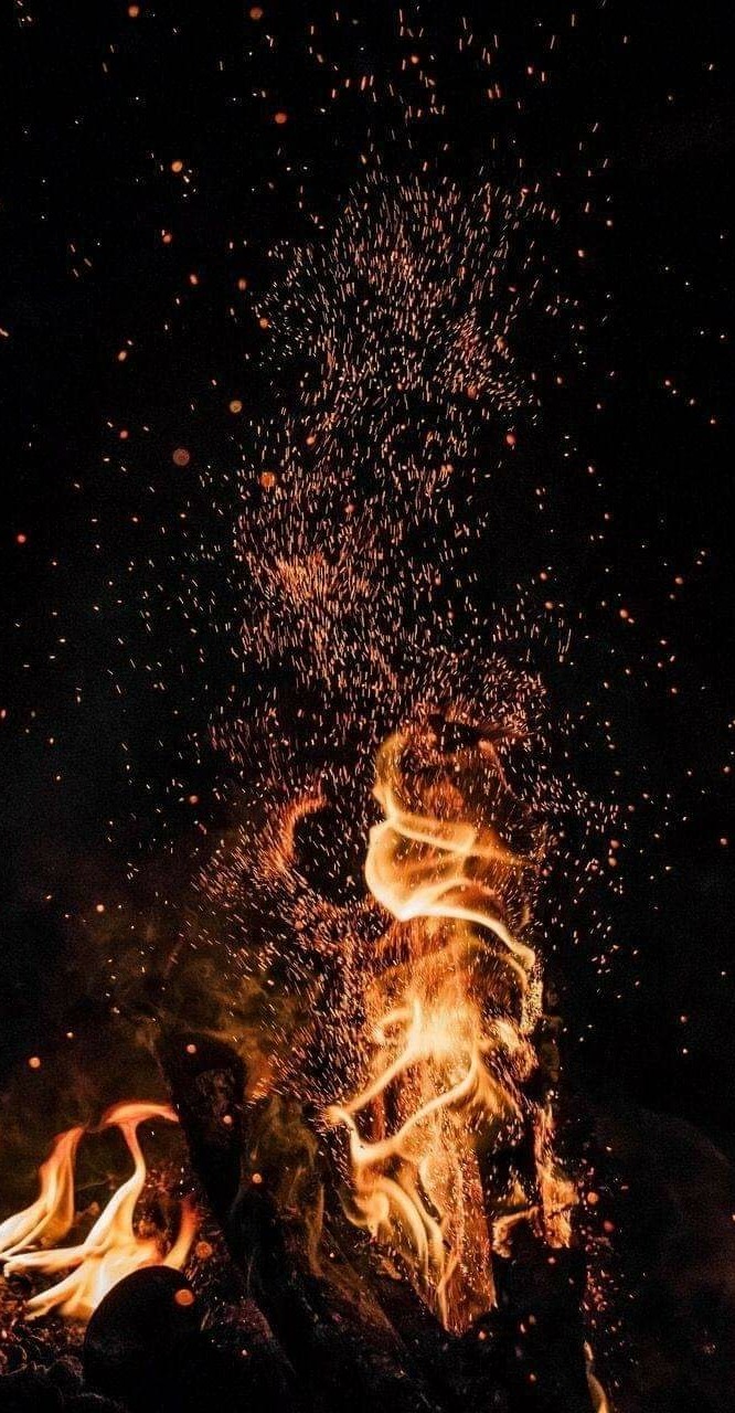 wallpaper