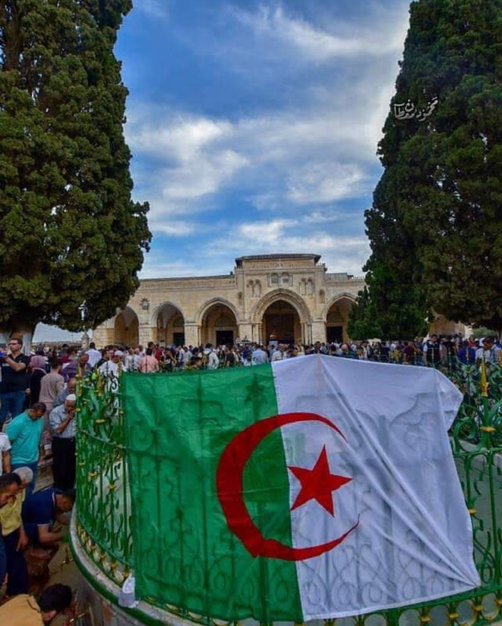الجزائر في قلب القدس