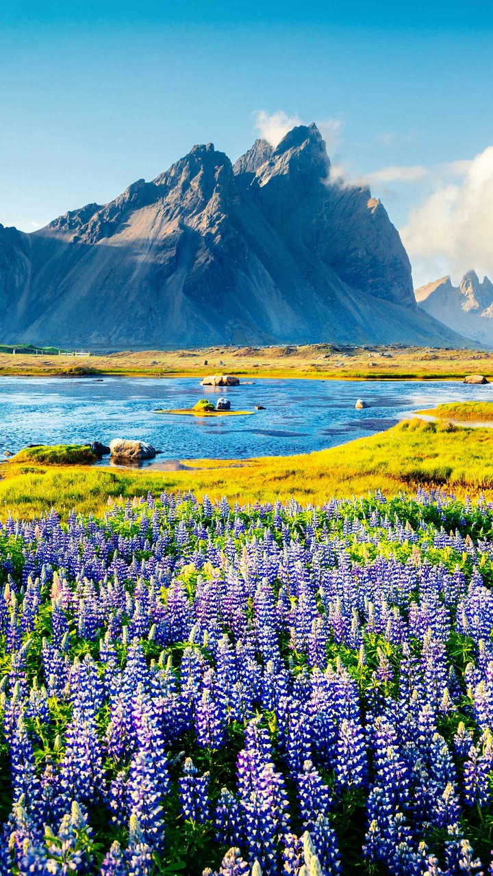 nature