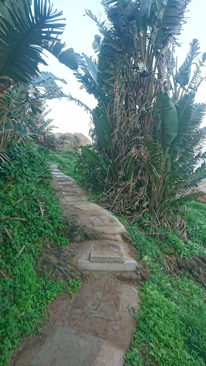 Green pathway
