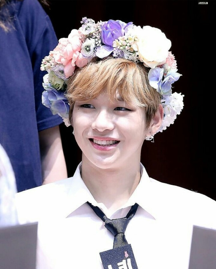 wanna one kang daniel