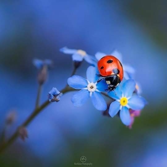 Beauté de la nature