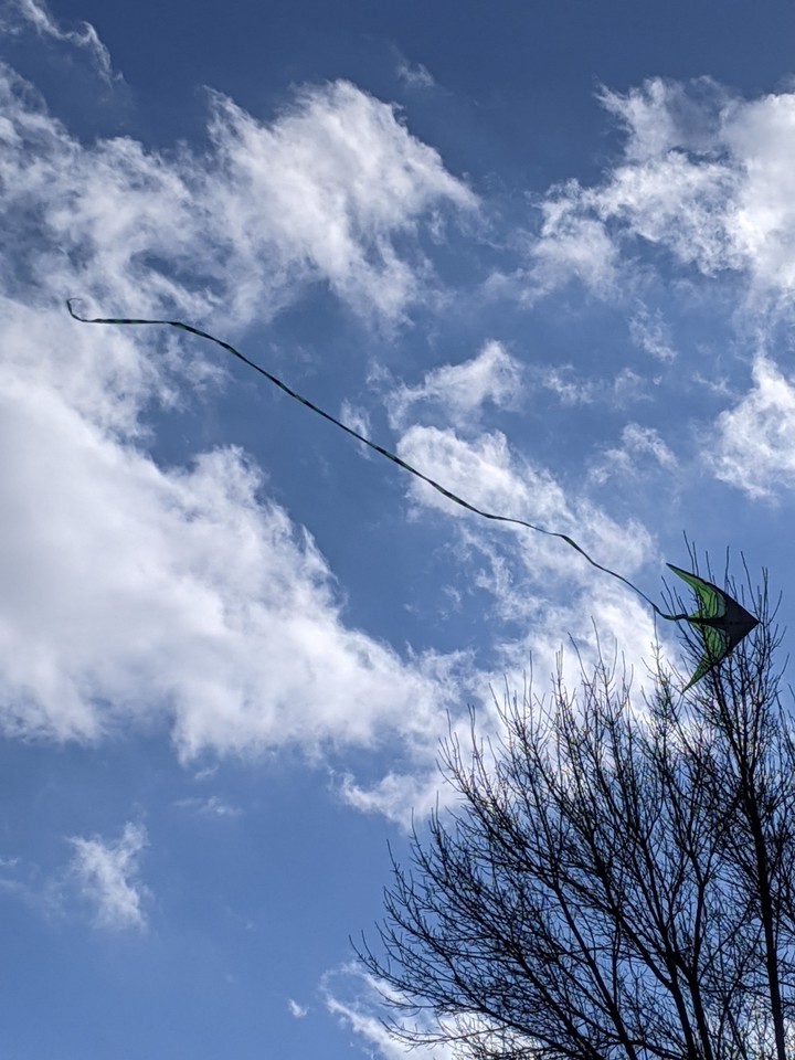 kite