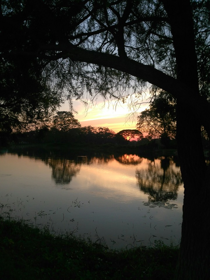 sunset