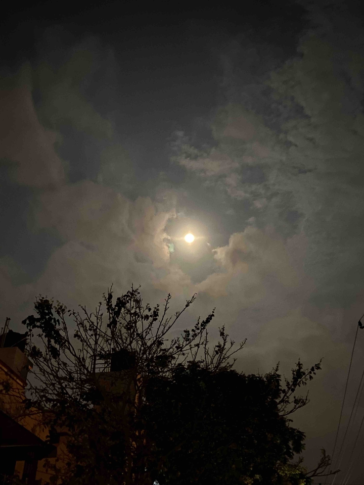 Moon