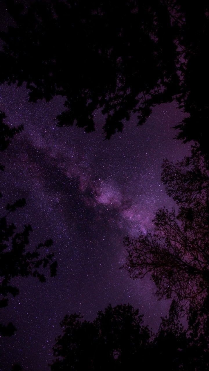 [~/°•☆•°\~]