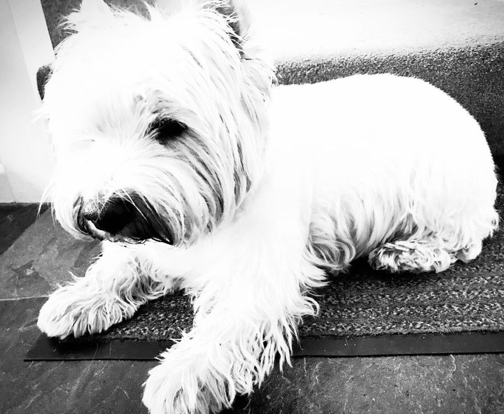 My fur baby