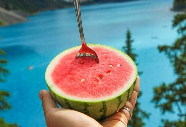 watermelon