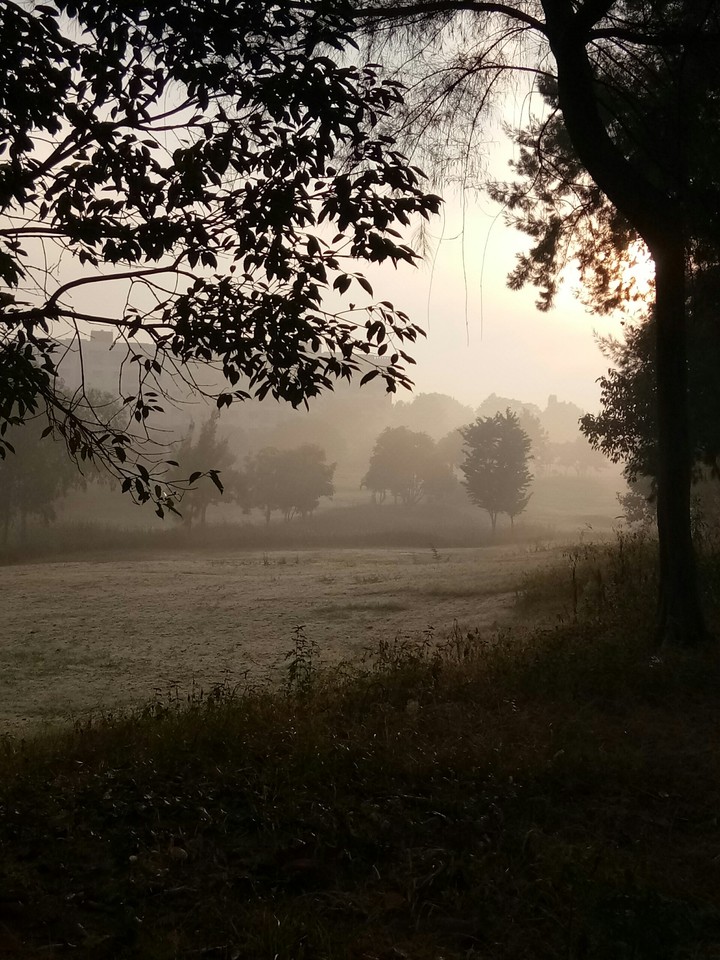 Good looking nature