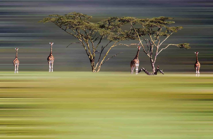 Afrika