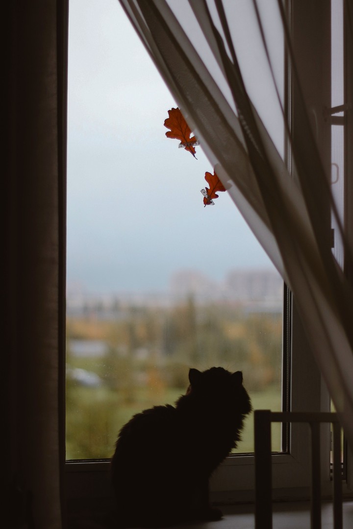 ♡