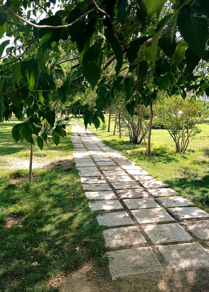 green way