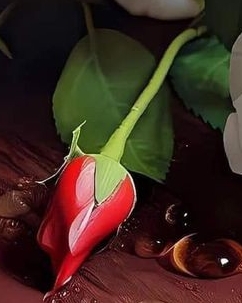 .