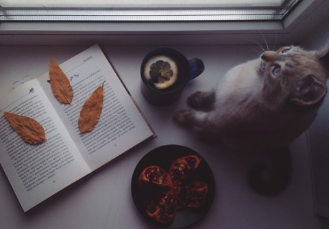 autumn mood