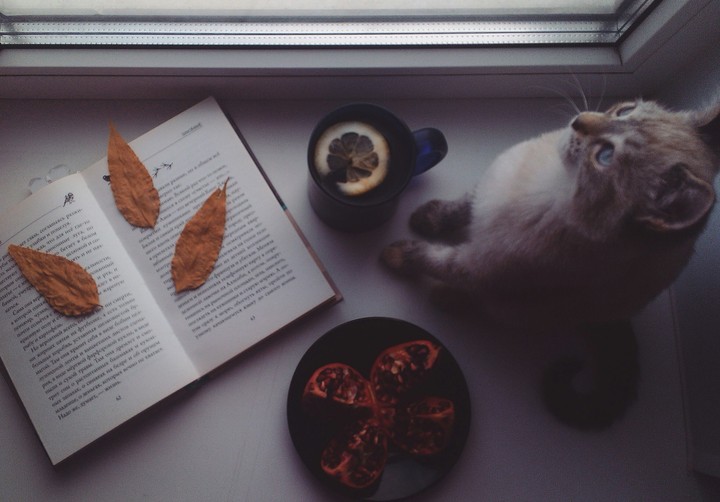autumn mood