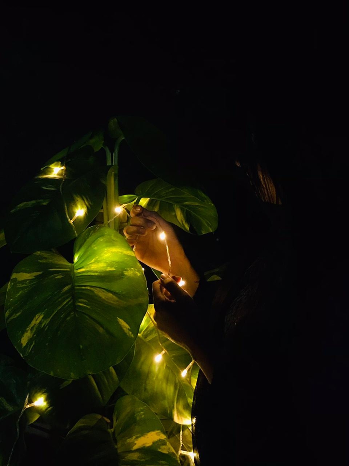 fairy lights