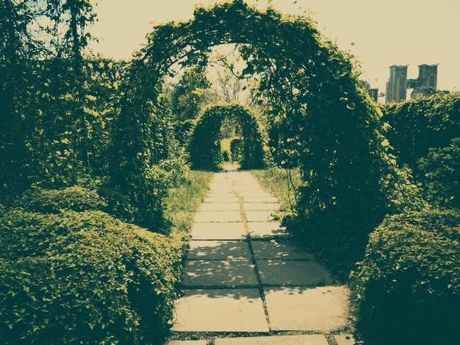 wonderful garden