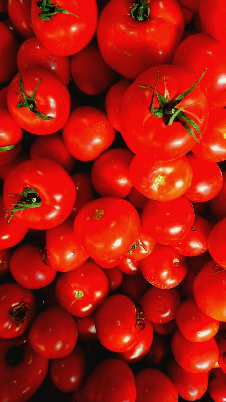 tomatos