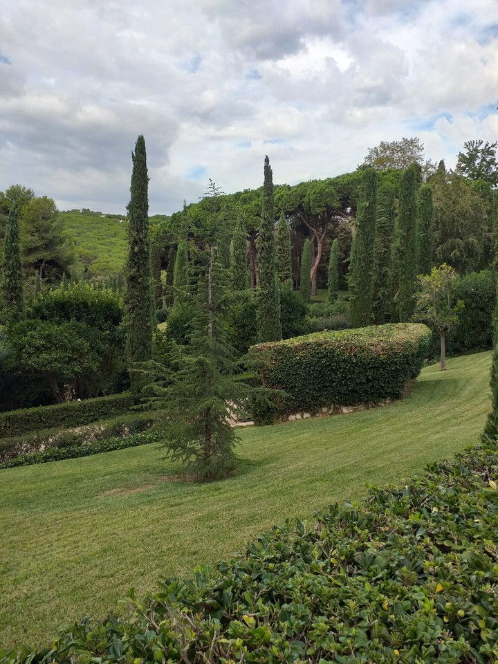 garden