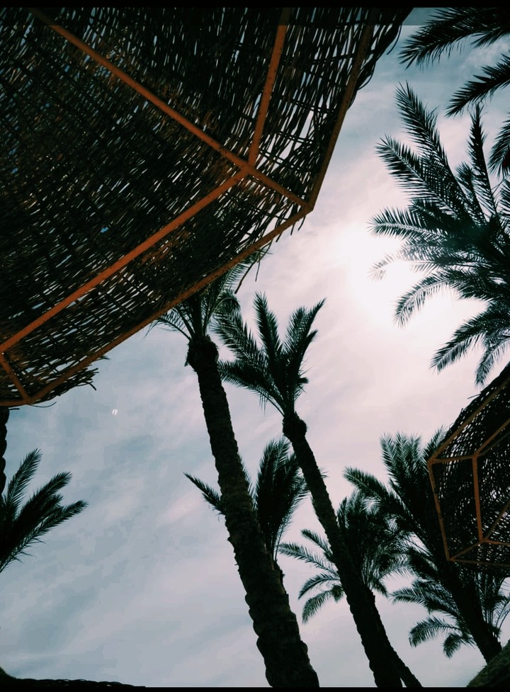Egypt