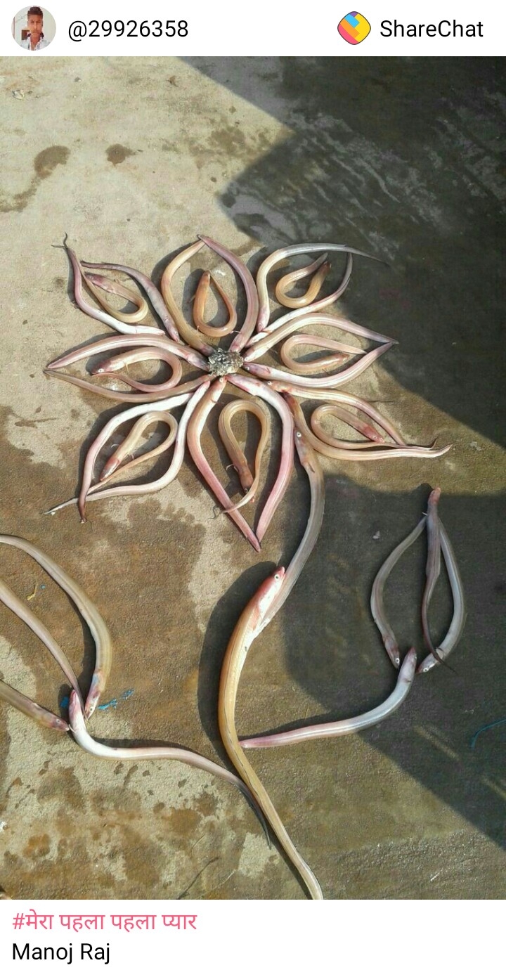 fish flower