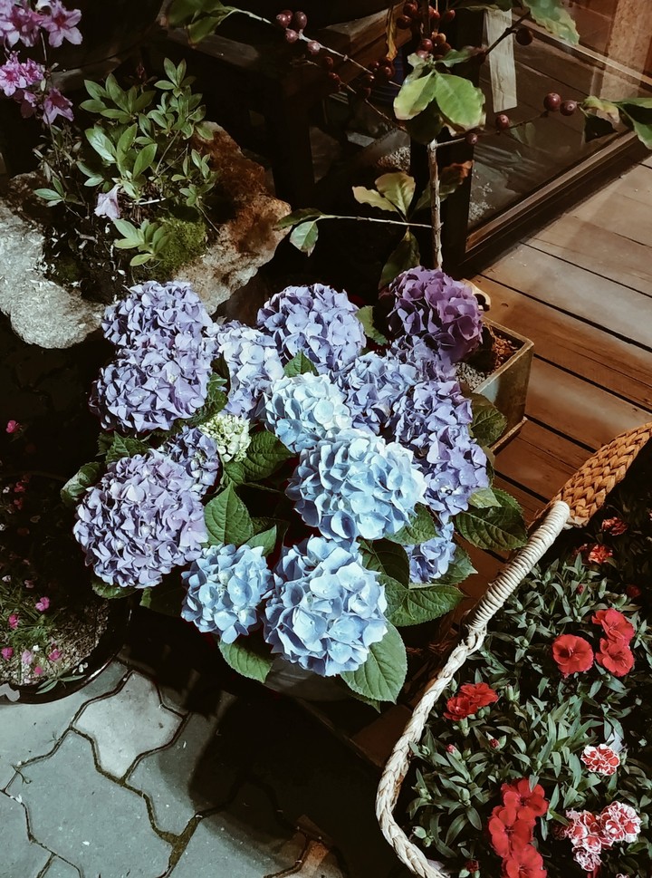여름밤....