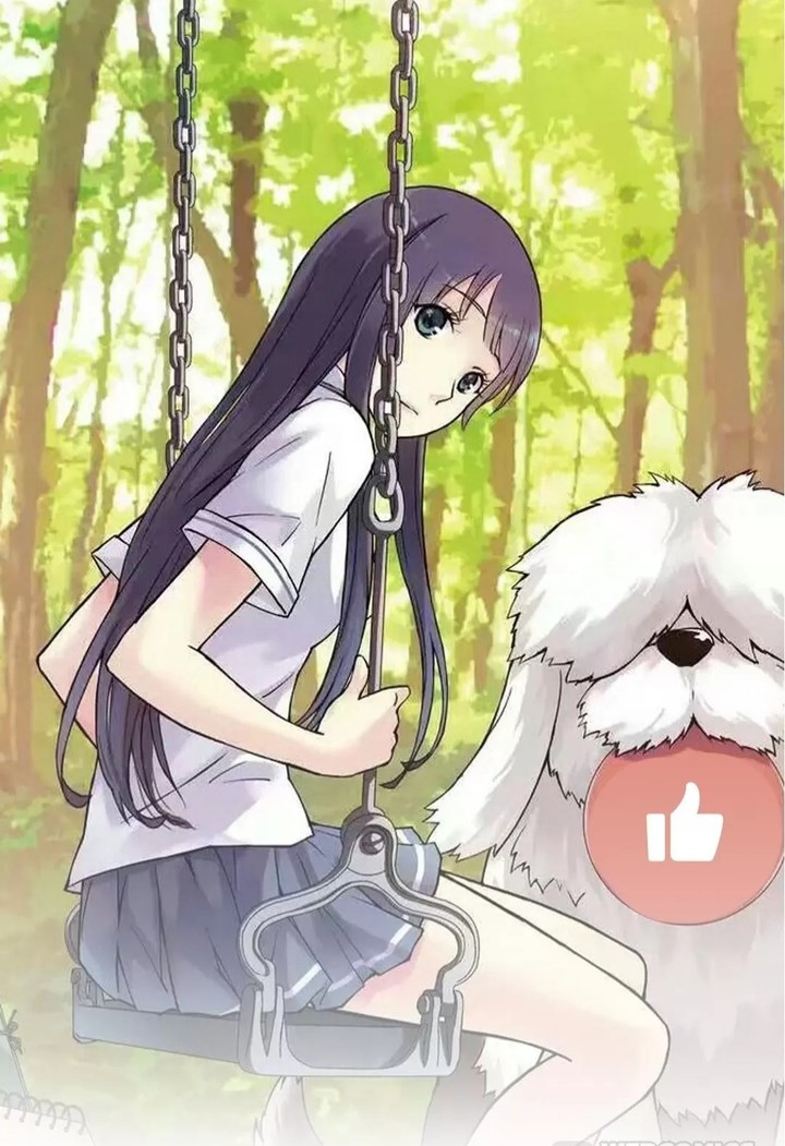 Anime ?