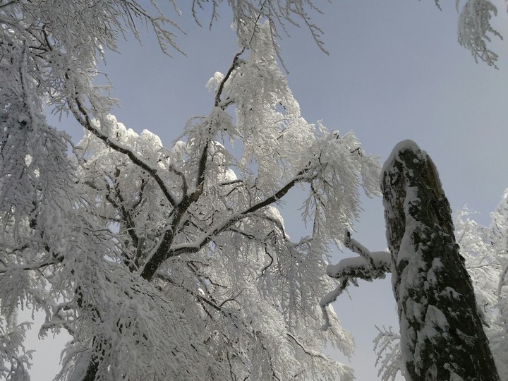 winter