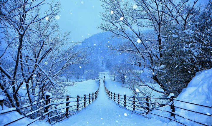 Melody of Winter.