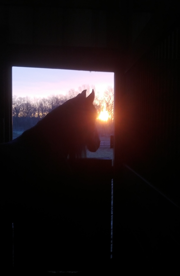 Sunrise with my pony