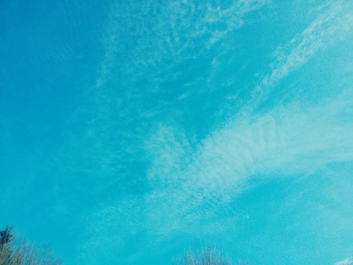 Blau