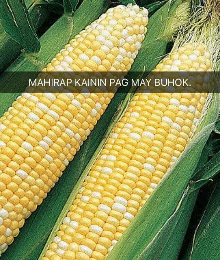 Corny