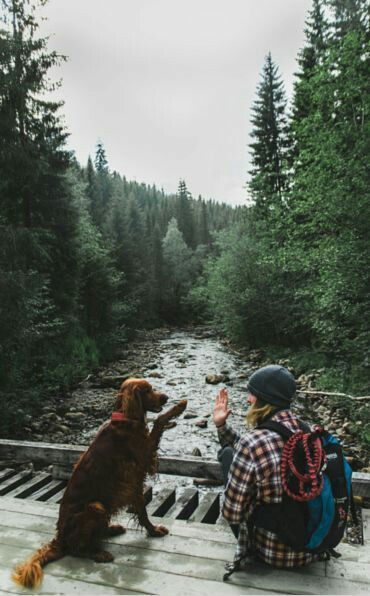 friendship