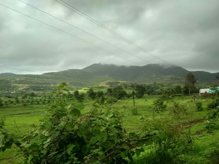 Nature
