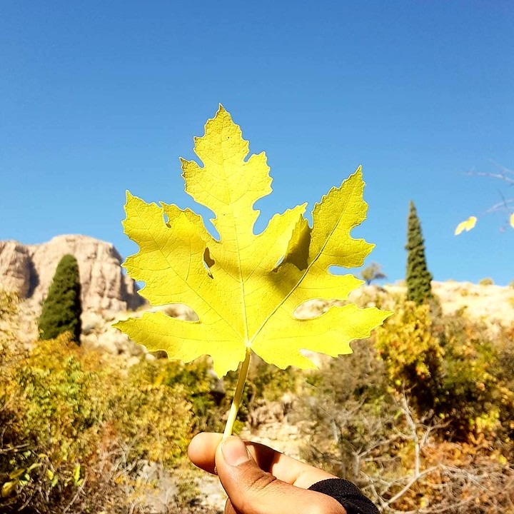 Autumn