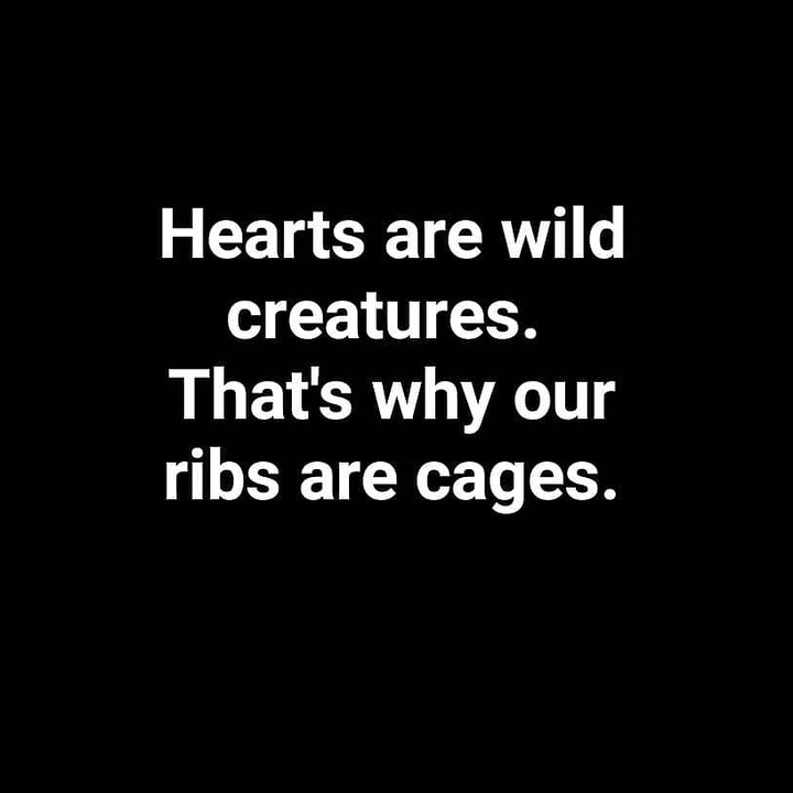 thequoteswritergirl