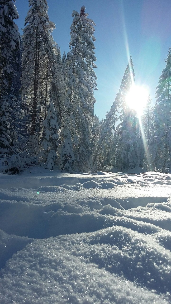 winter