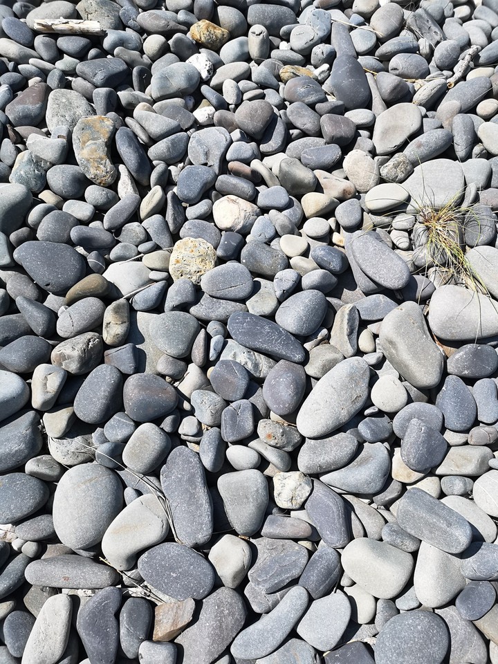 Borth Beach Stones