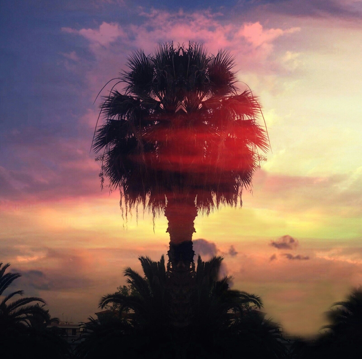 Tree of summer life