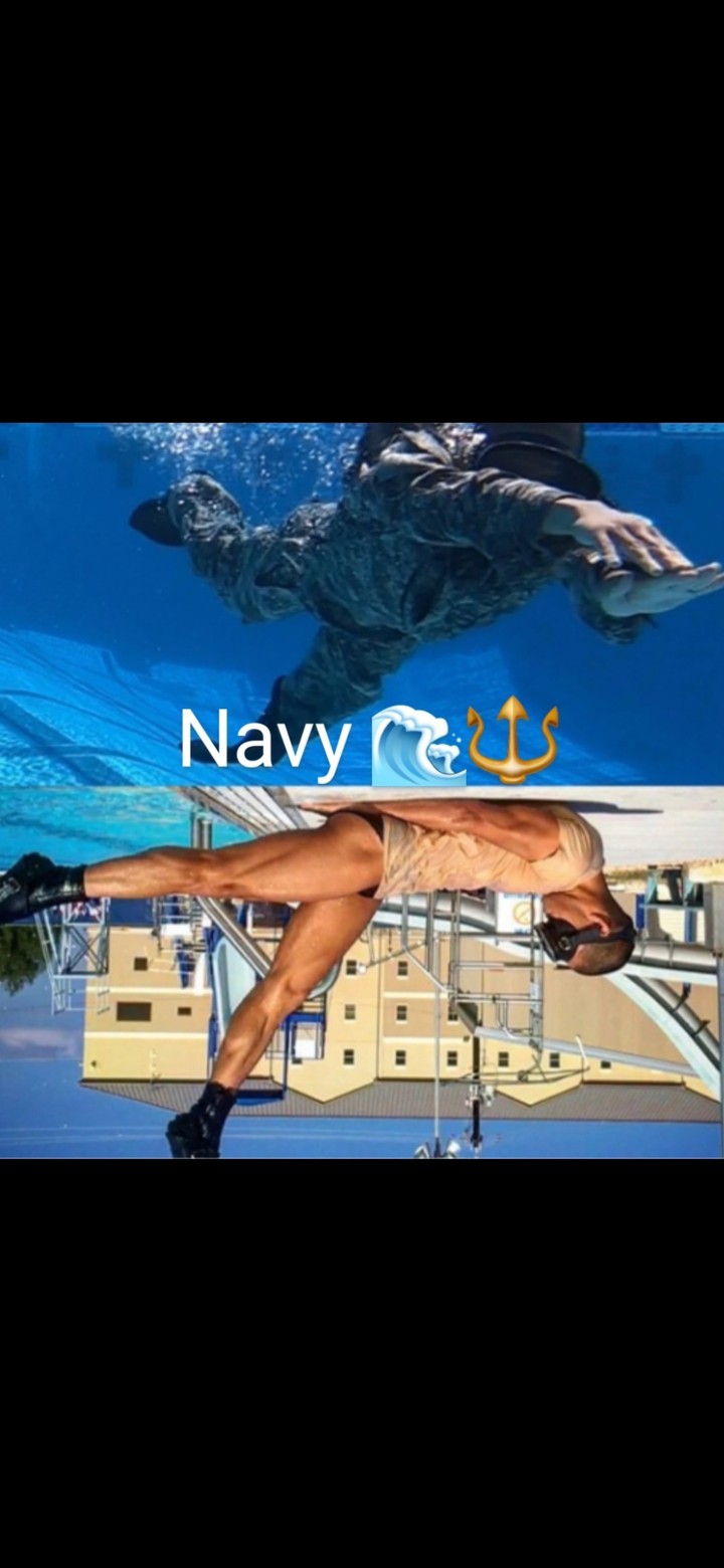 Navy